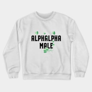Alphalpha Male Crewneck Sweatshirt
